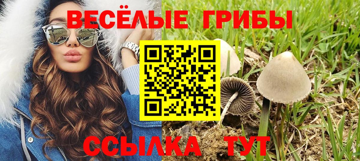 Галлюциногенные грибы мухоморы  купить закладку  Кольчугино  Вход с VPN  Псилоцибиновые грибы ЛСД 