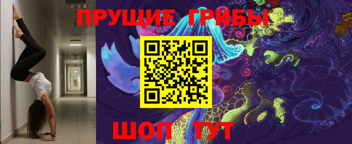 Псилоцибиновые грибы MAGIC MUSHROOMS Кольчугино